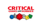 Critical Games & Hobbies